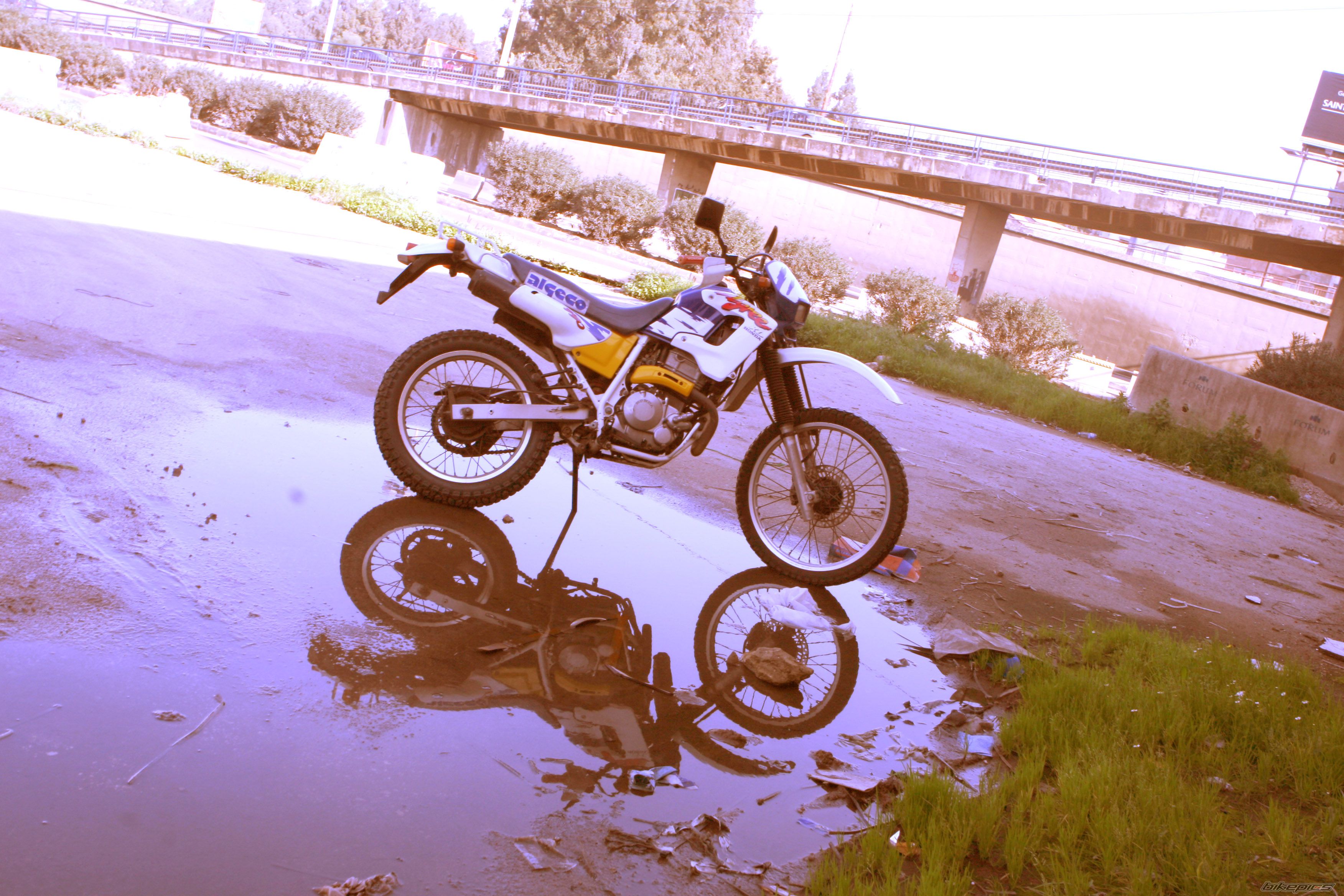 Photo 1572792