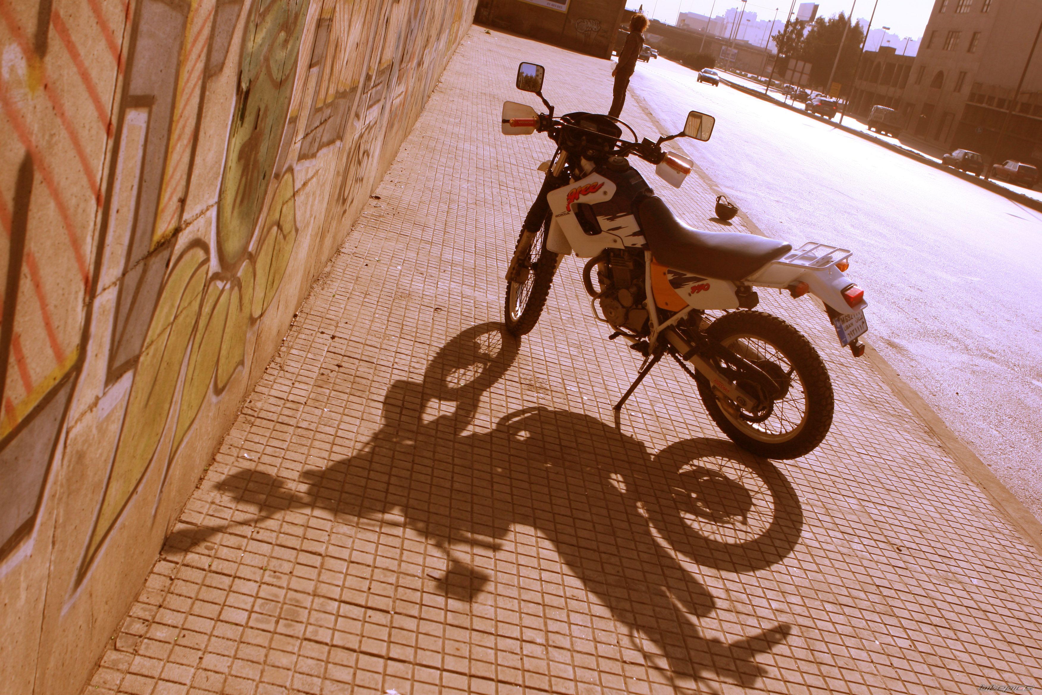Photo 1572816