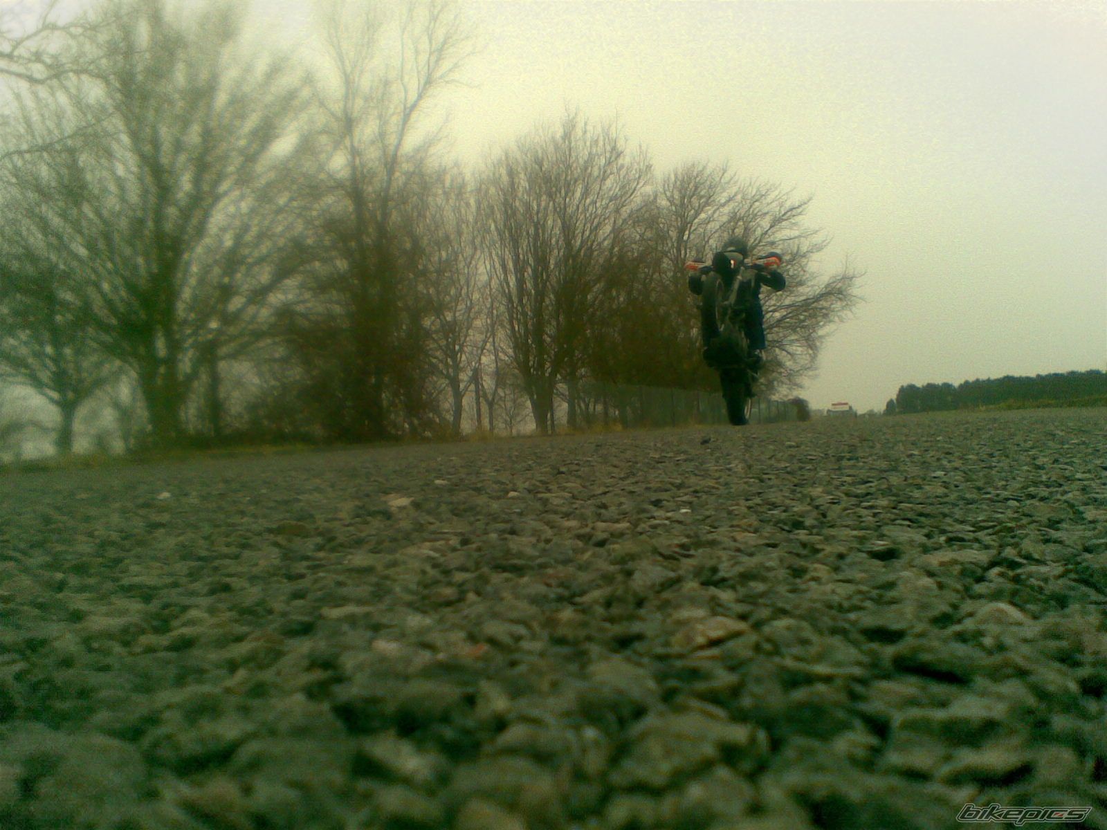 Photo 1572940