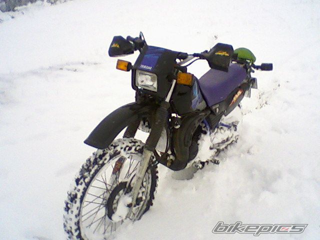 Photo 1572958