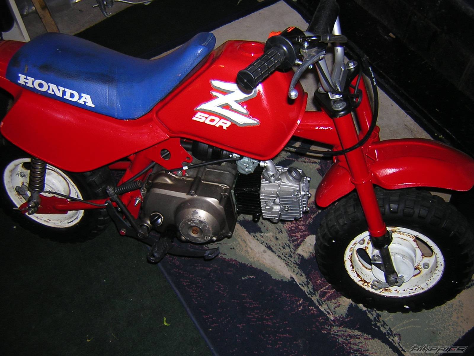 Photo 157326