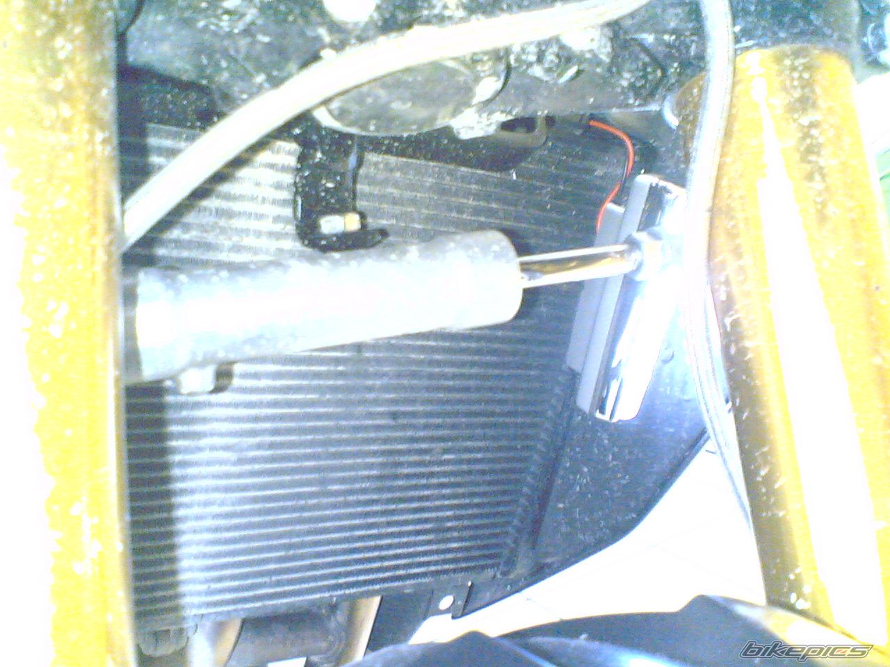 Photo 1573261