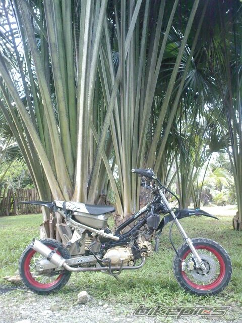 Bike Photo 1573400