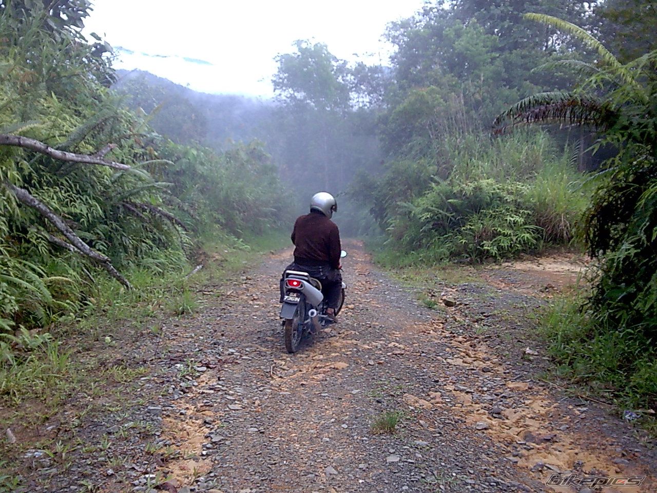 Photo 1573498