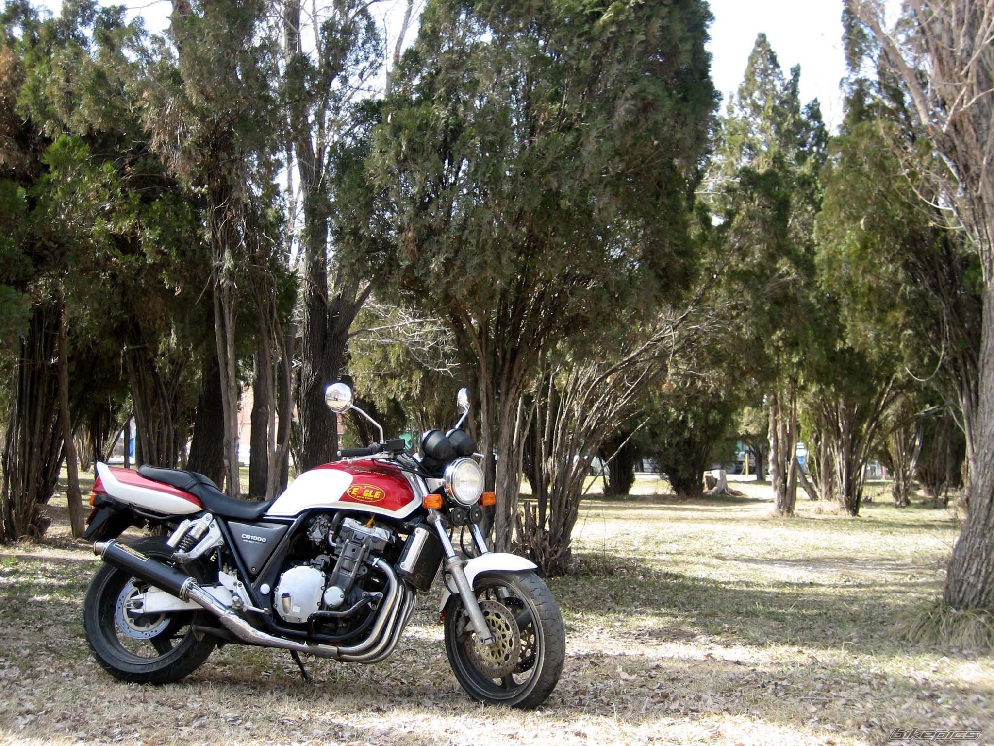 Bike Photo 1573540