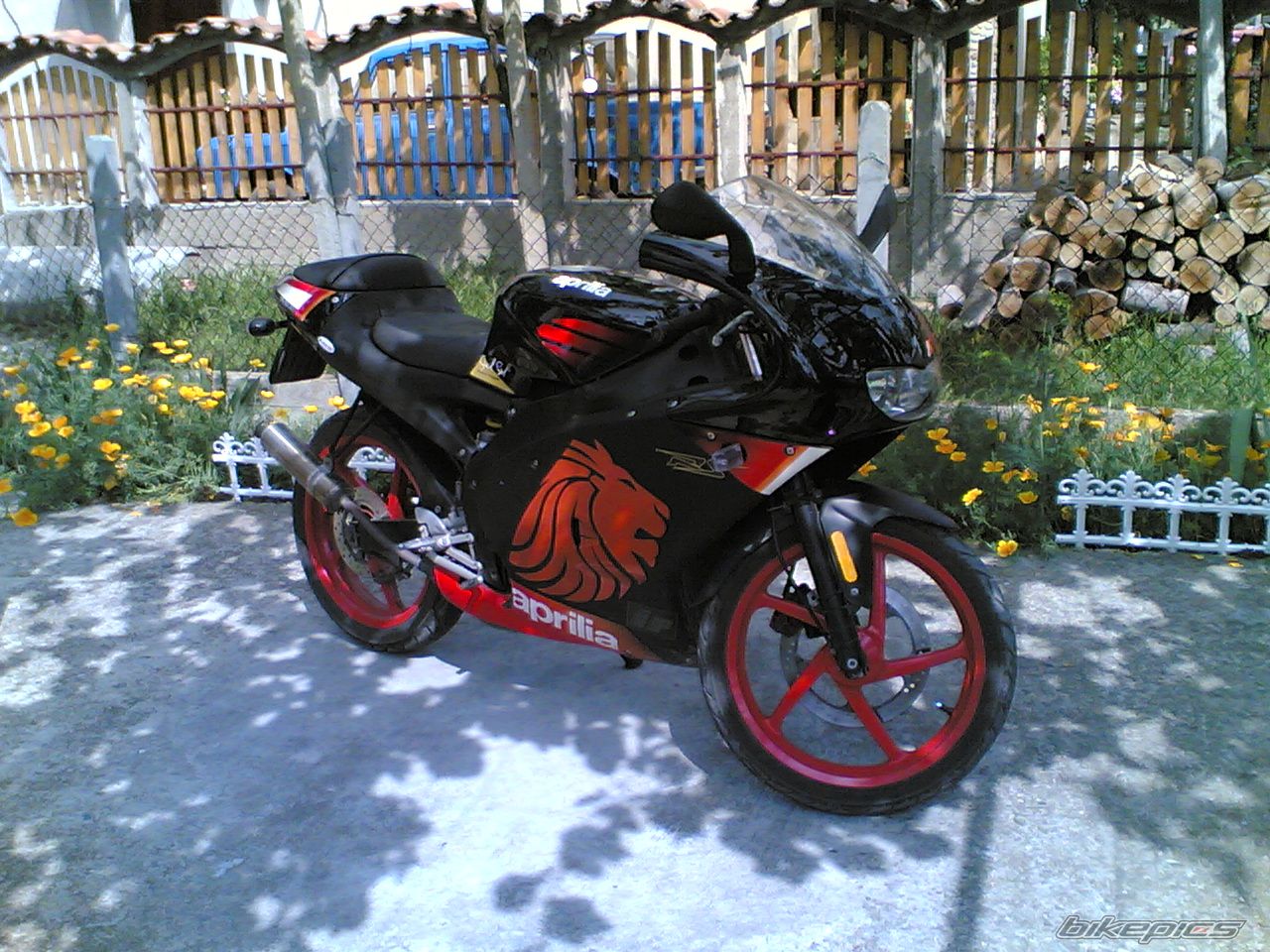 Photo 1573550
