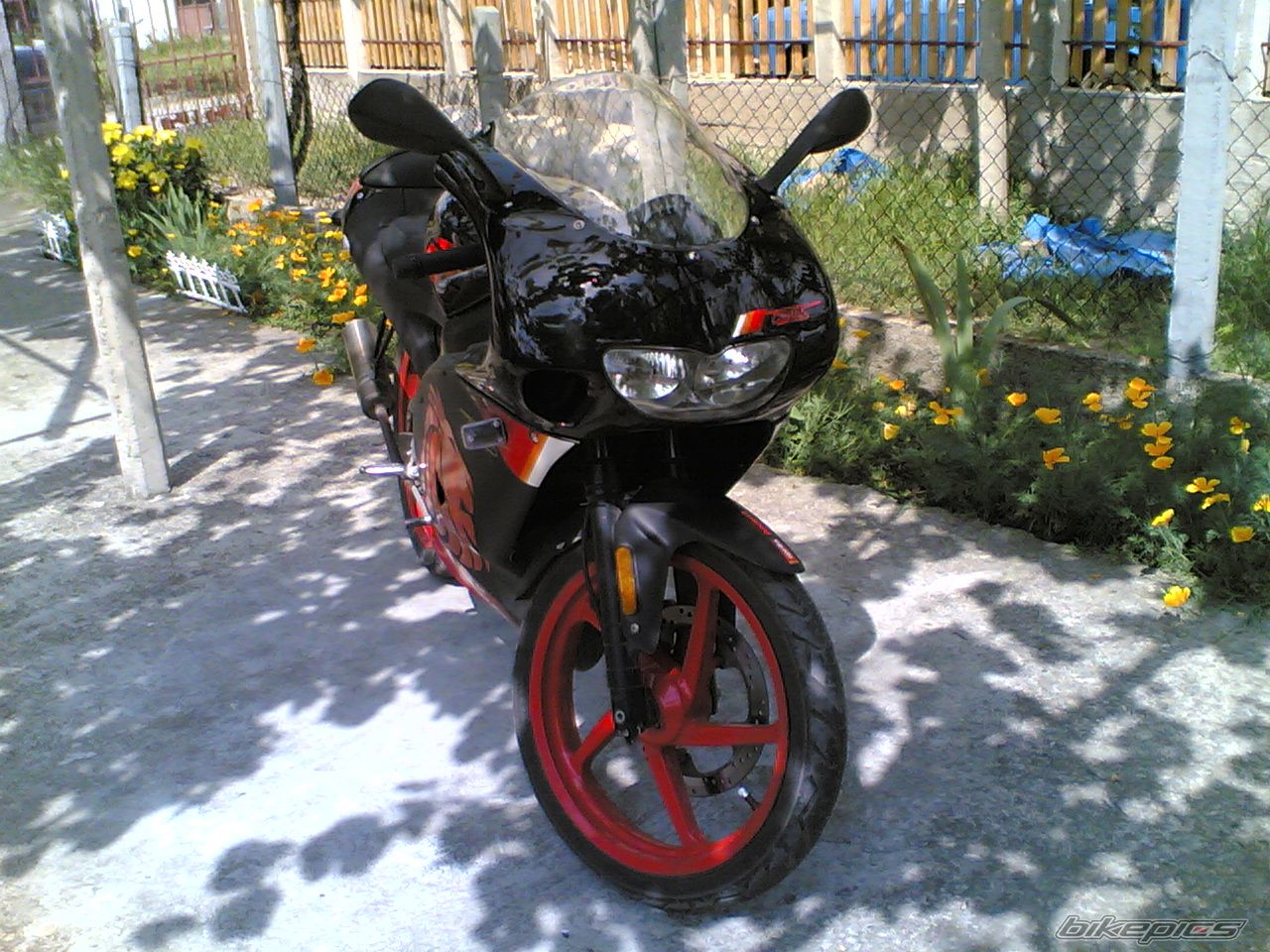 Photo 1573551
