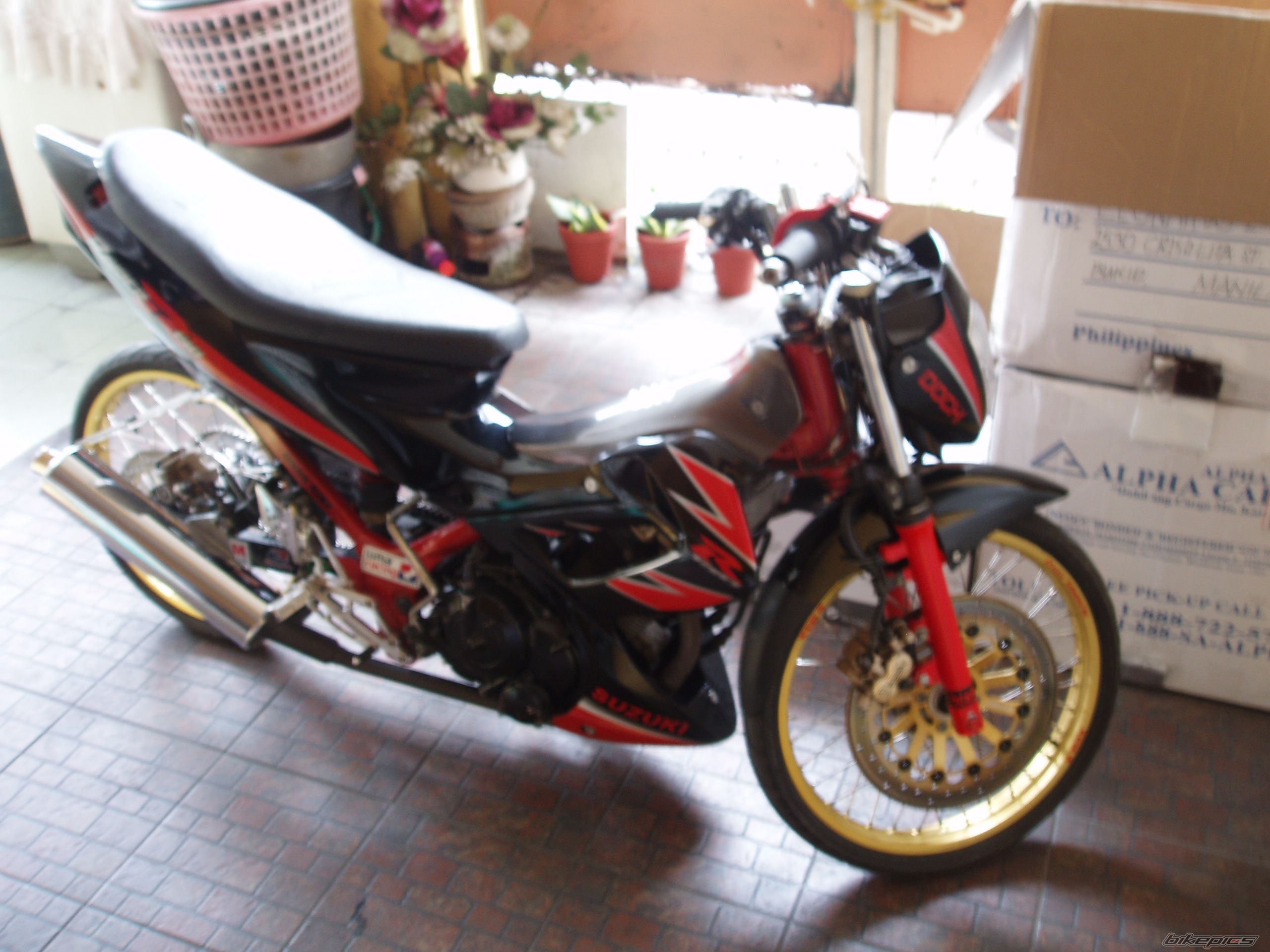 Photo 1573646