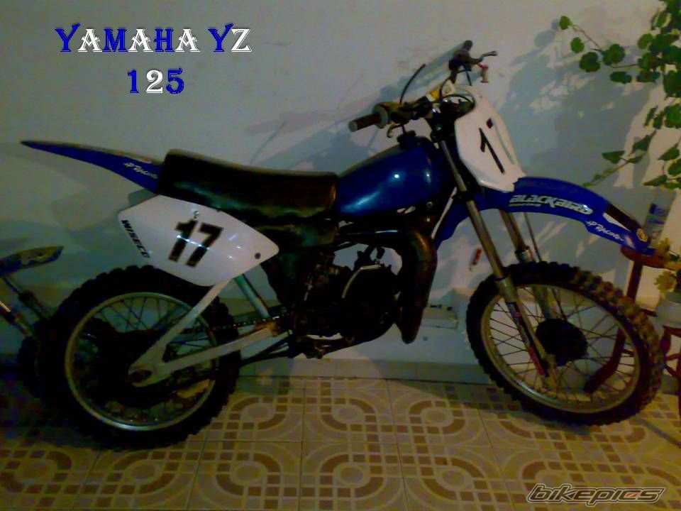 Photo 1573828