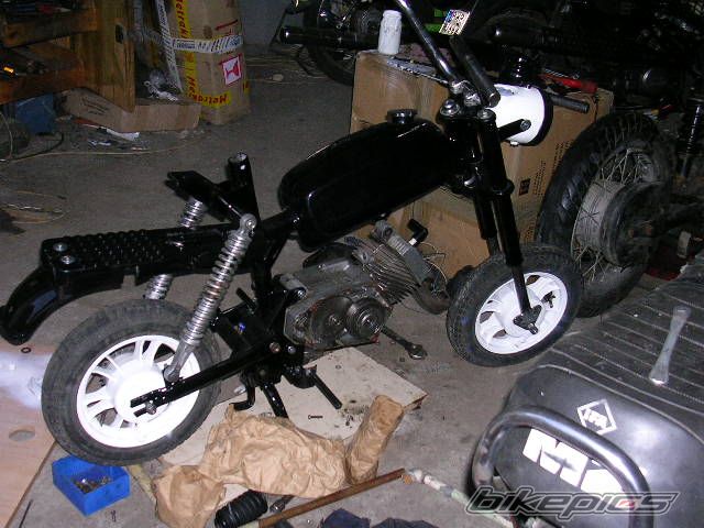Photo 1574052