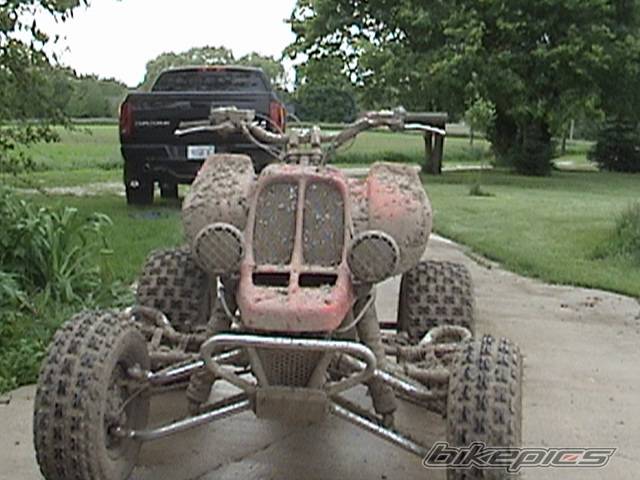 Photo 157413