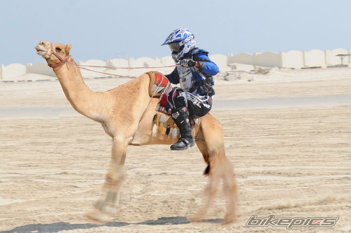 Bike Photo 1574138
