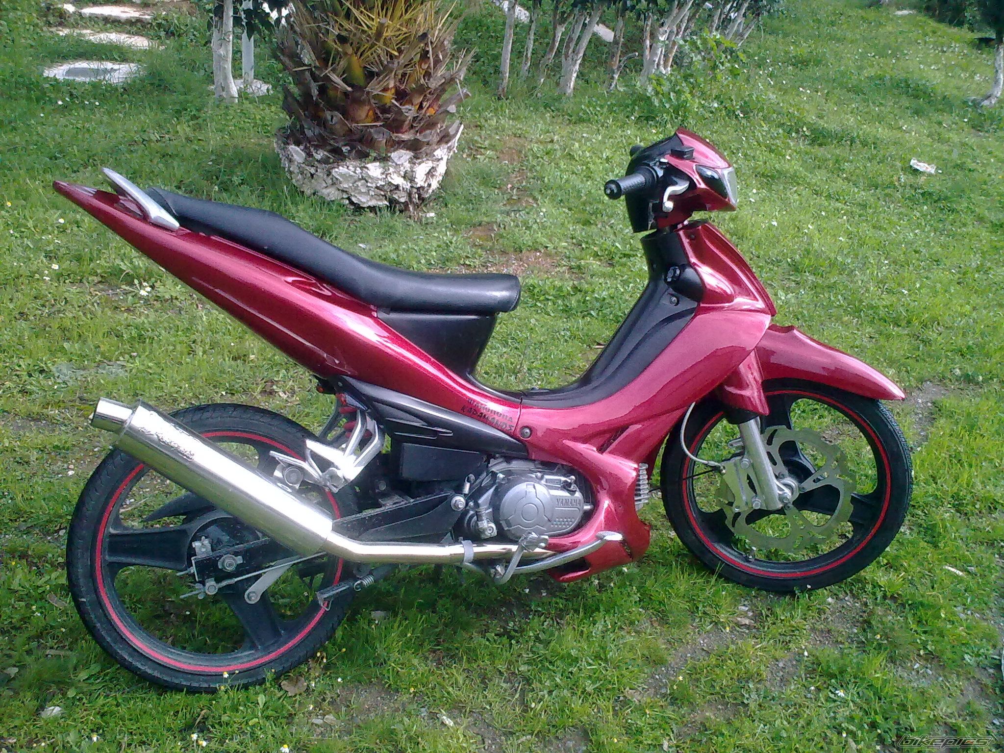 Photo 1574162