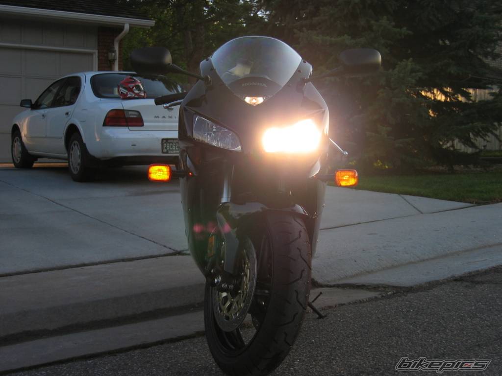 Photo 157421