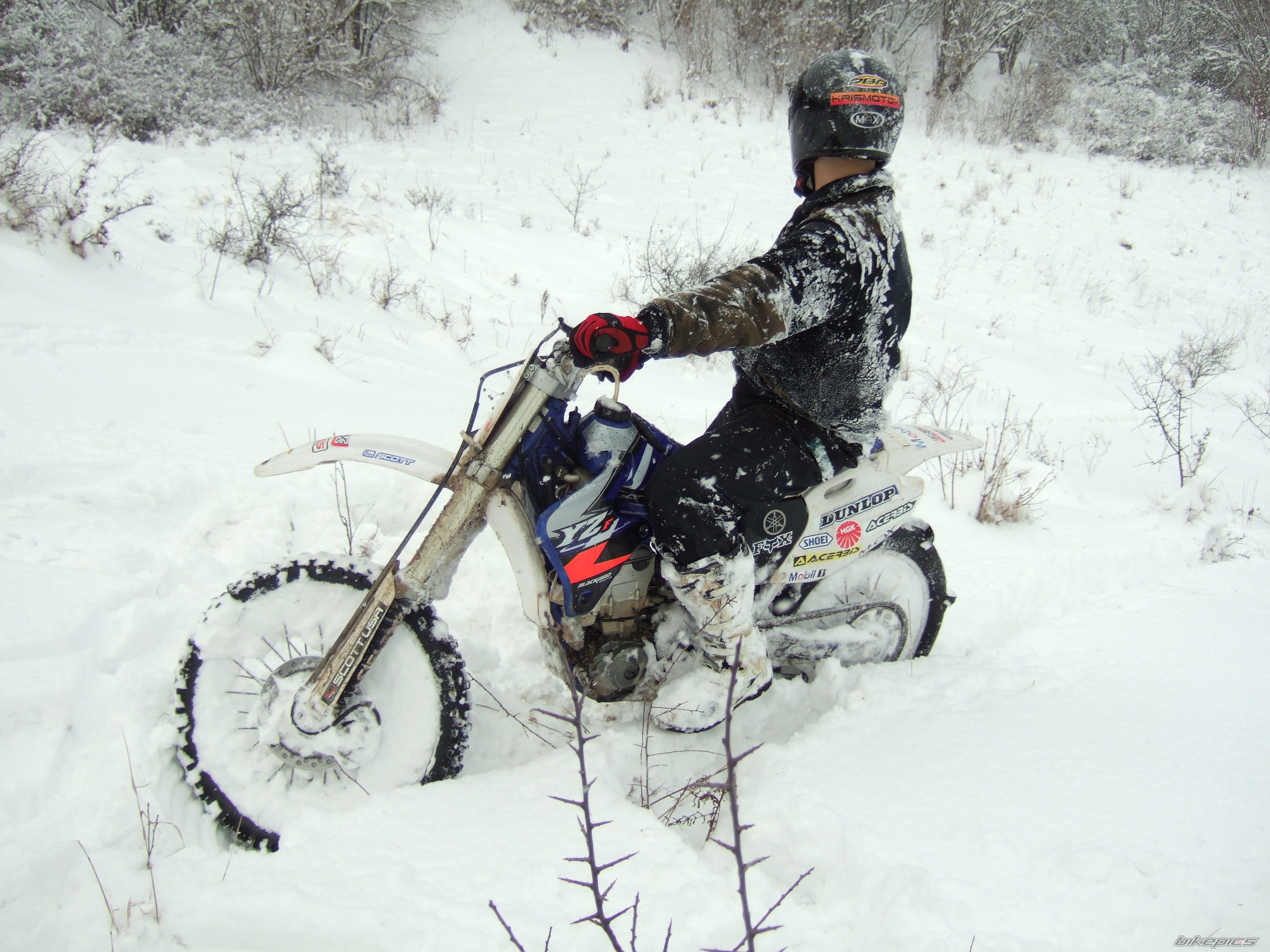 Bike Photo 1574296
