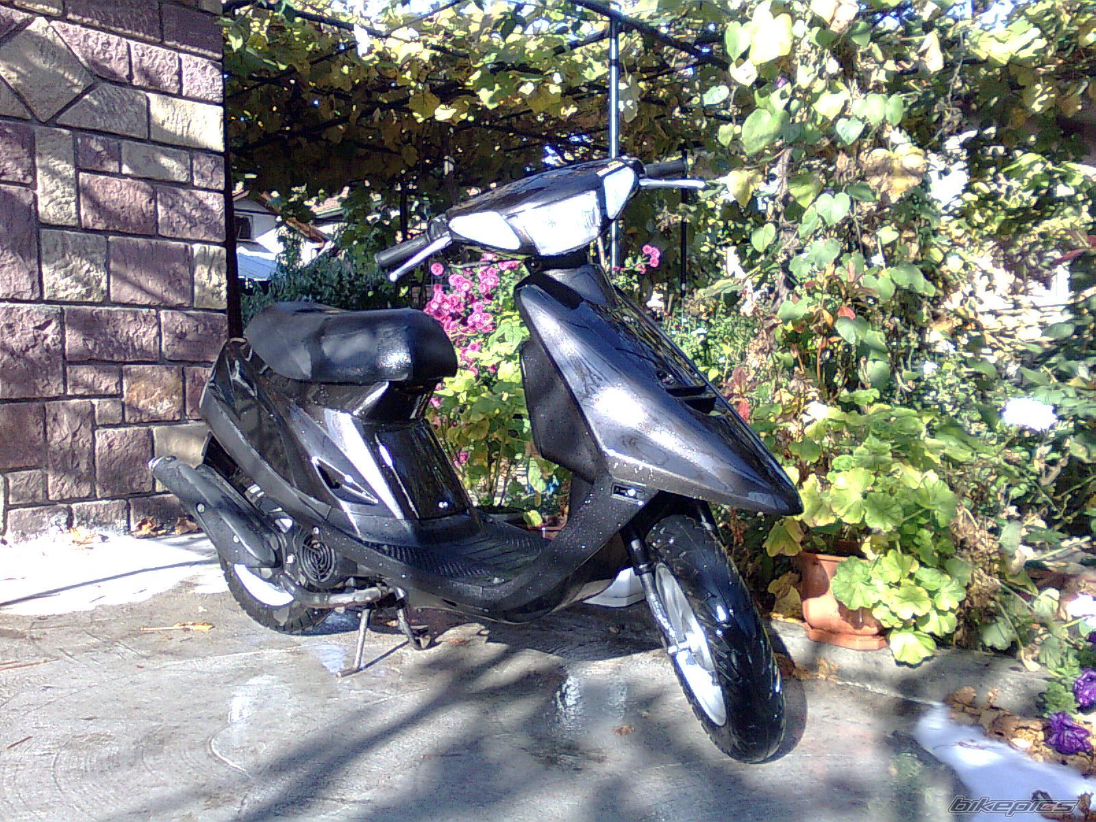 Photo 1574317