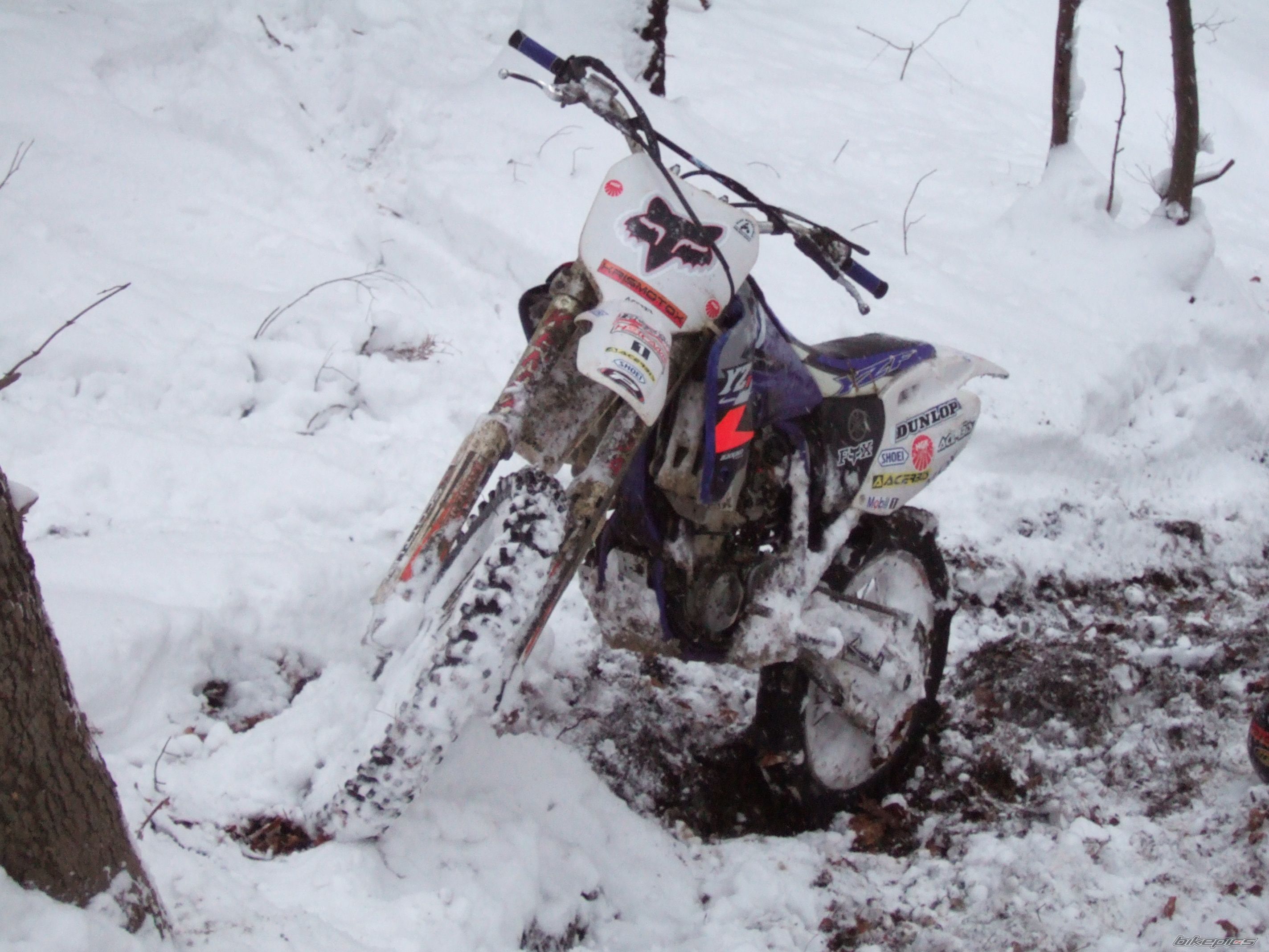 Photo 1574335