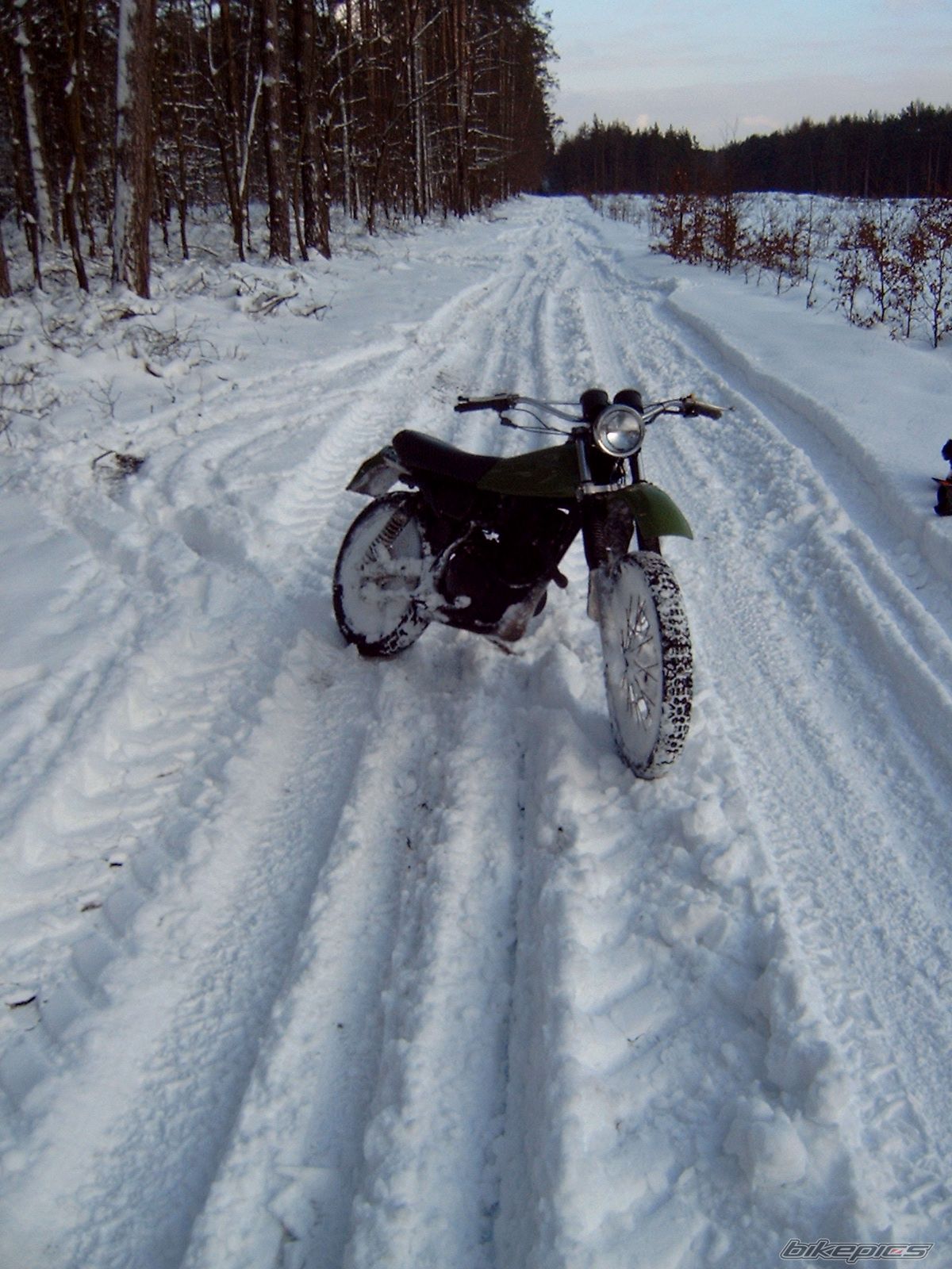 Photo 1574418