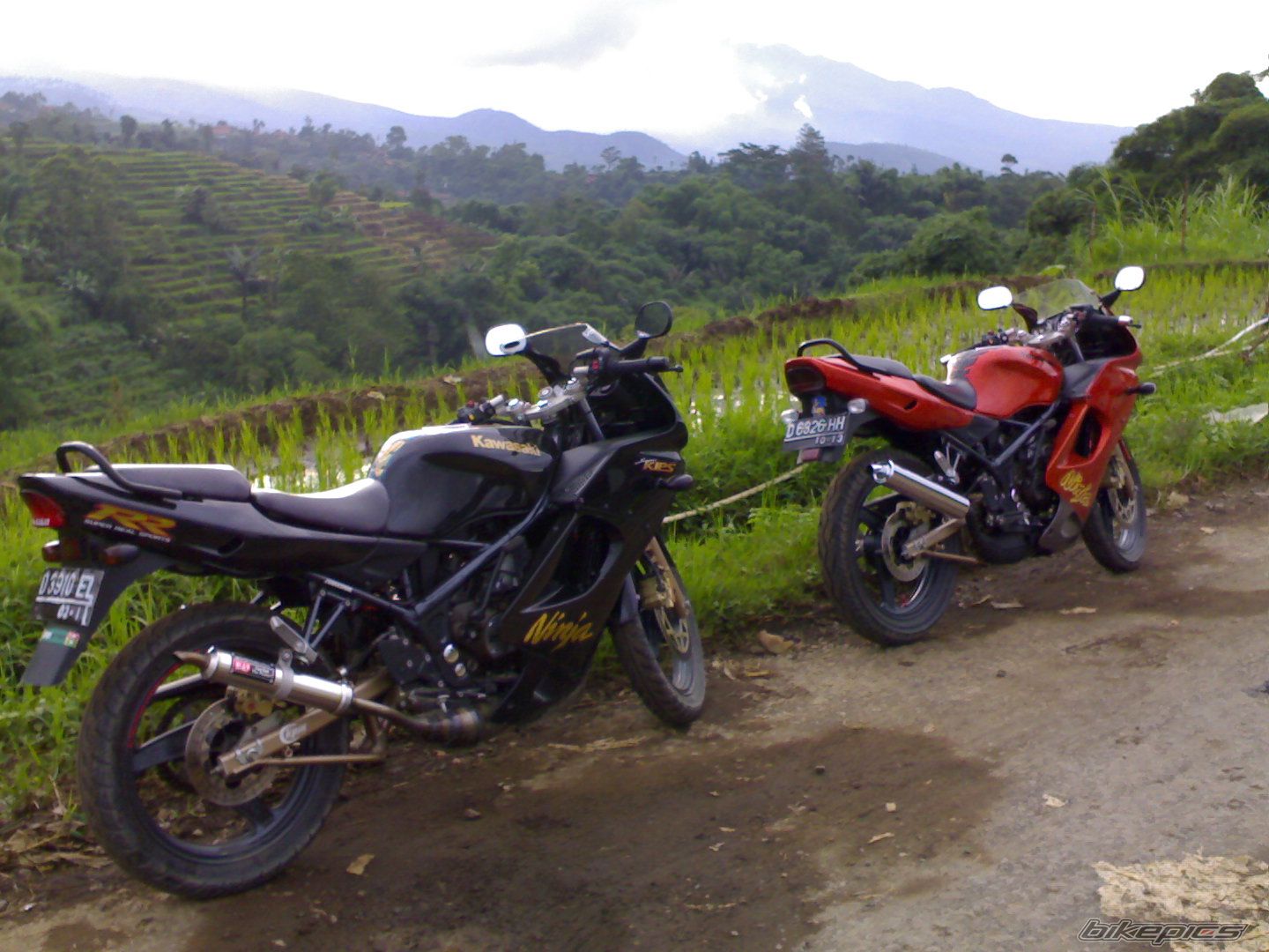 Photo 1574687