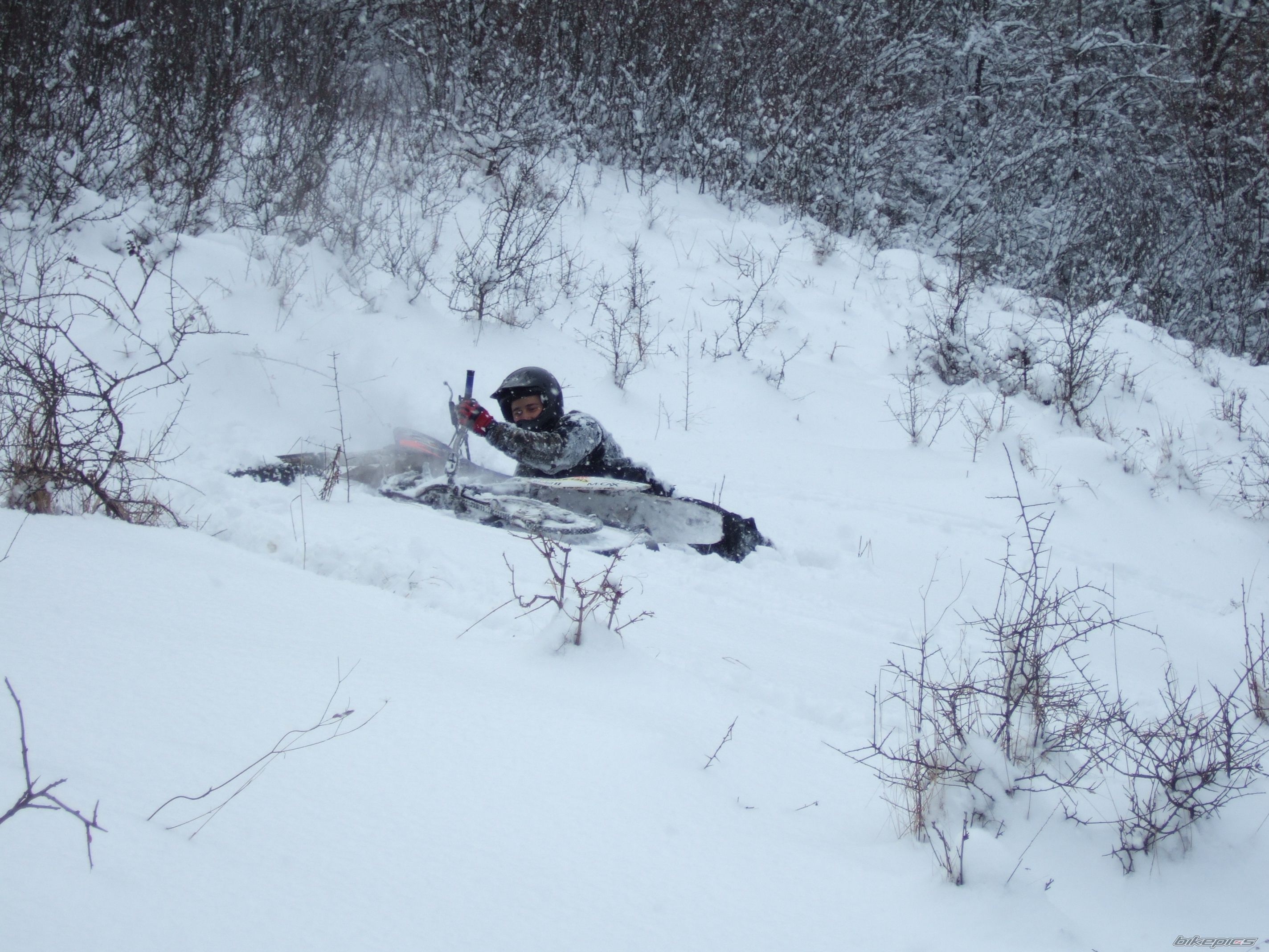 Photo 1574815