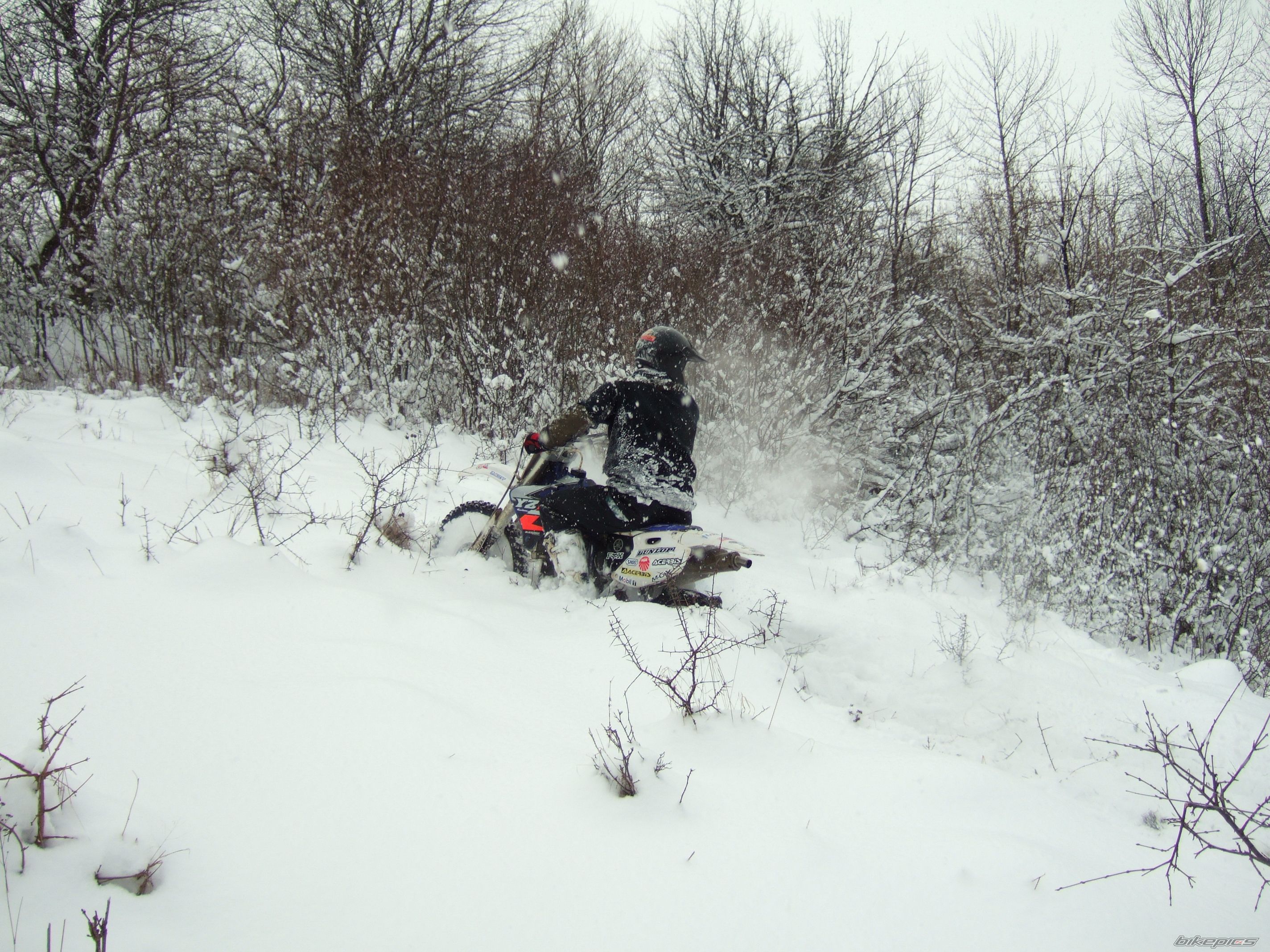Photo 1574823