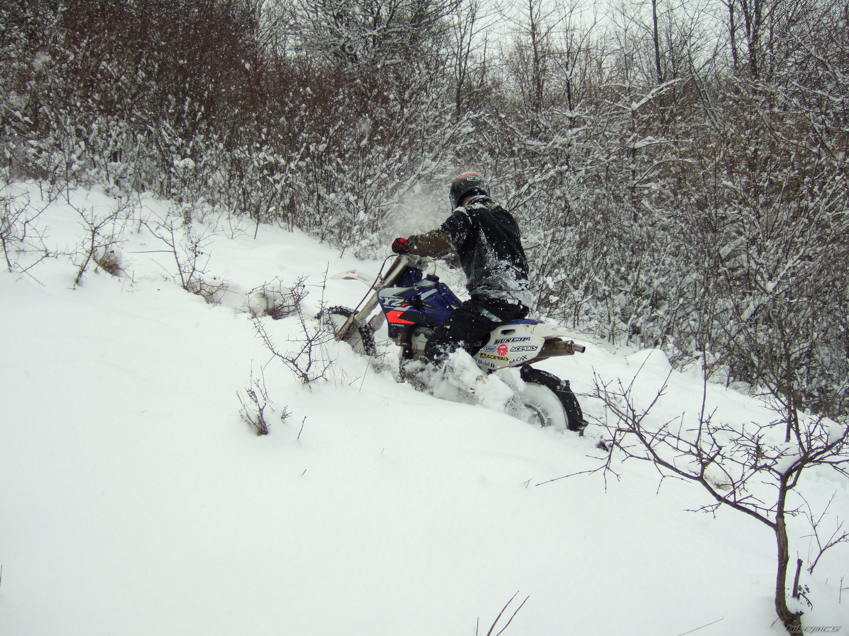 Photo 1574825
