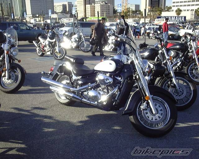 Photo 15749