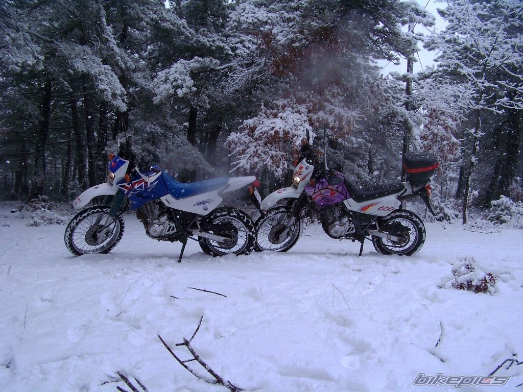 Photo 1575042