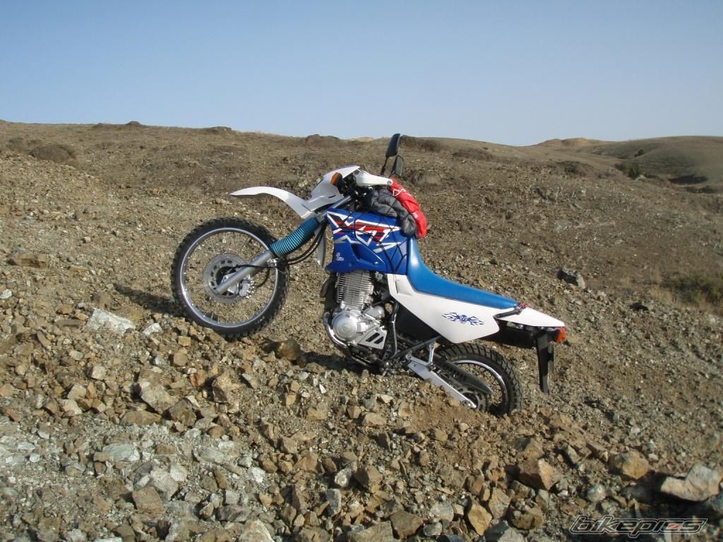 Photo 1575044