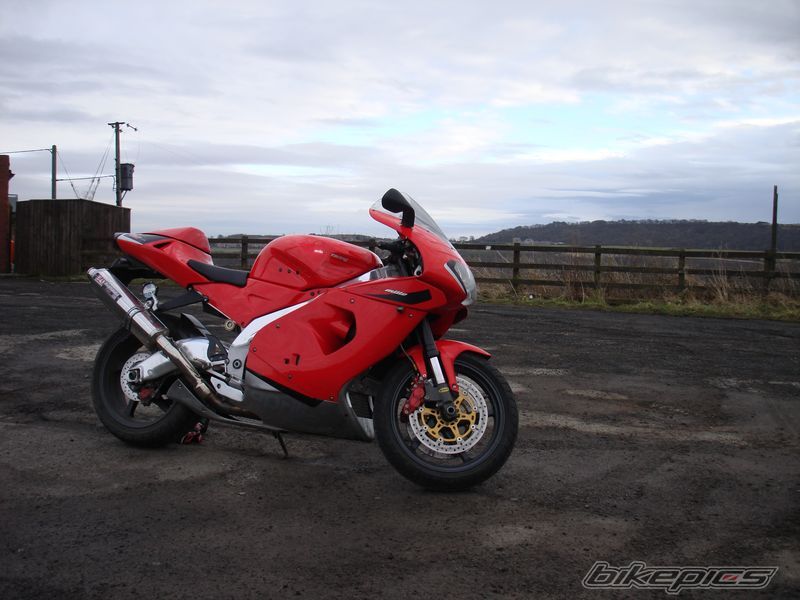 Photo 1575074