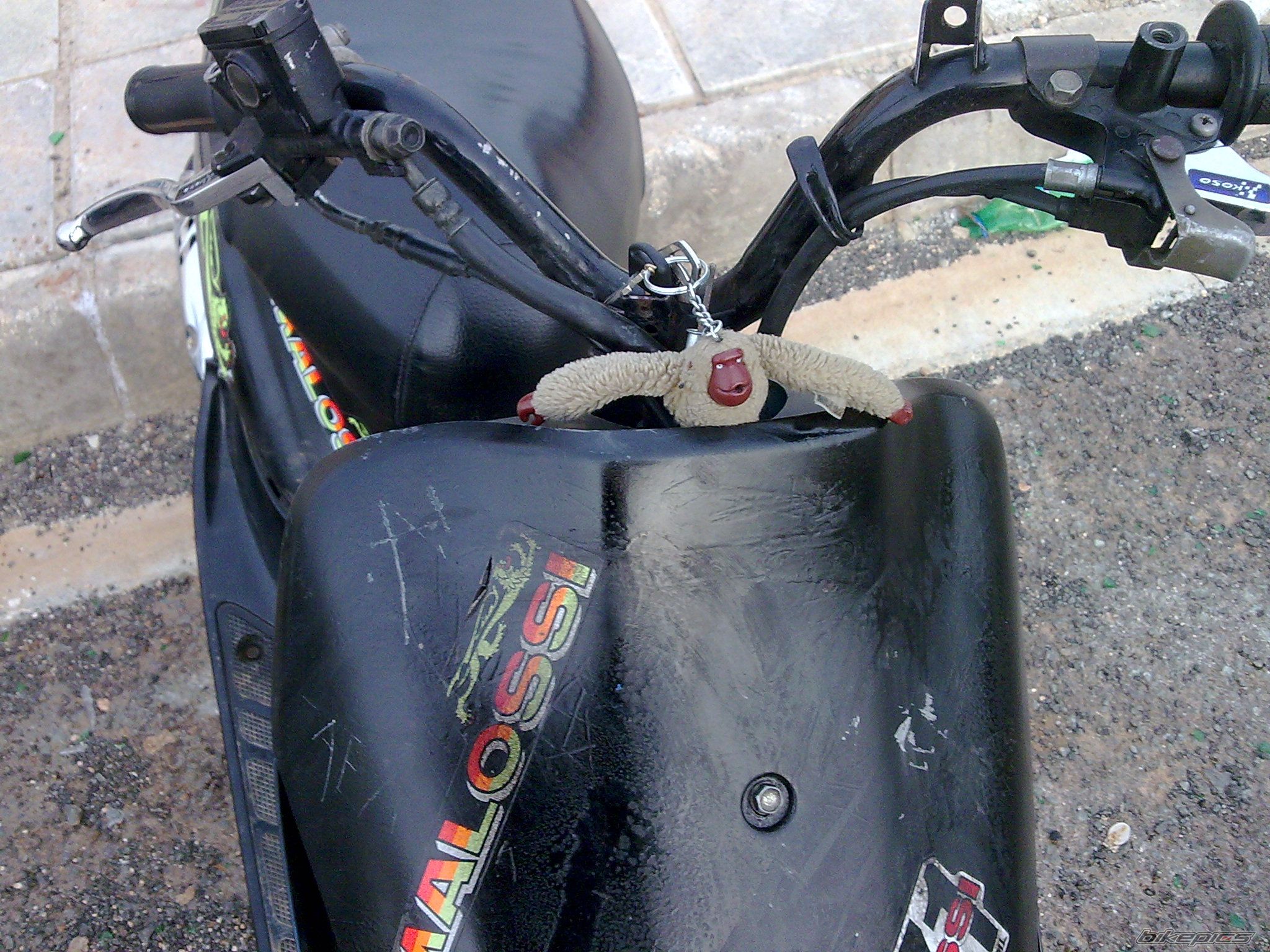 Photo 1575155
