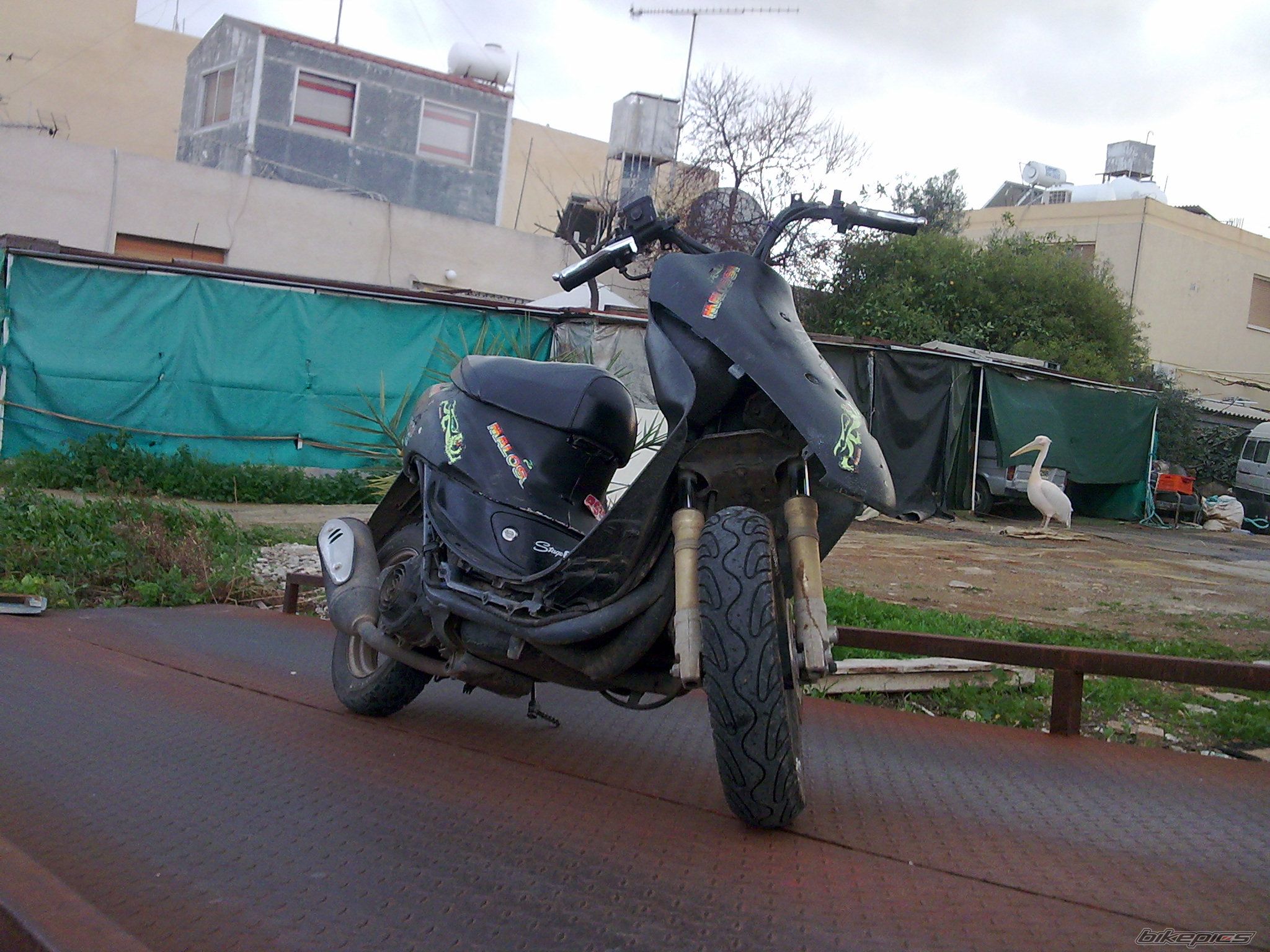 Photo 1575157