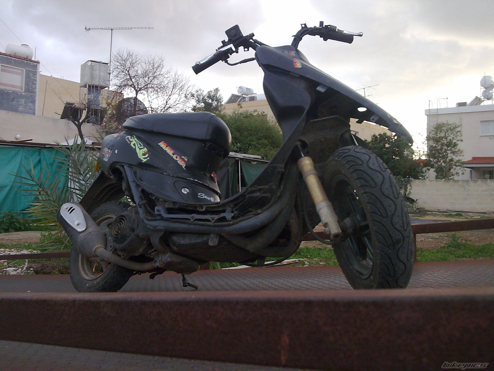 Photo 1575159