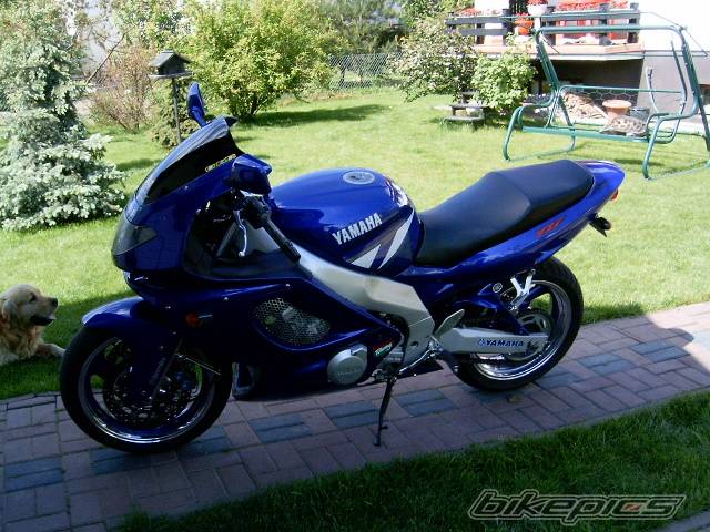 Photo 157521