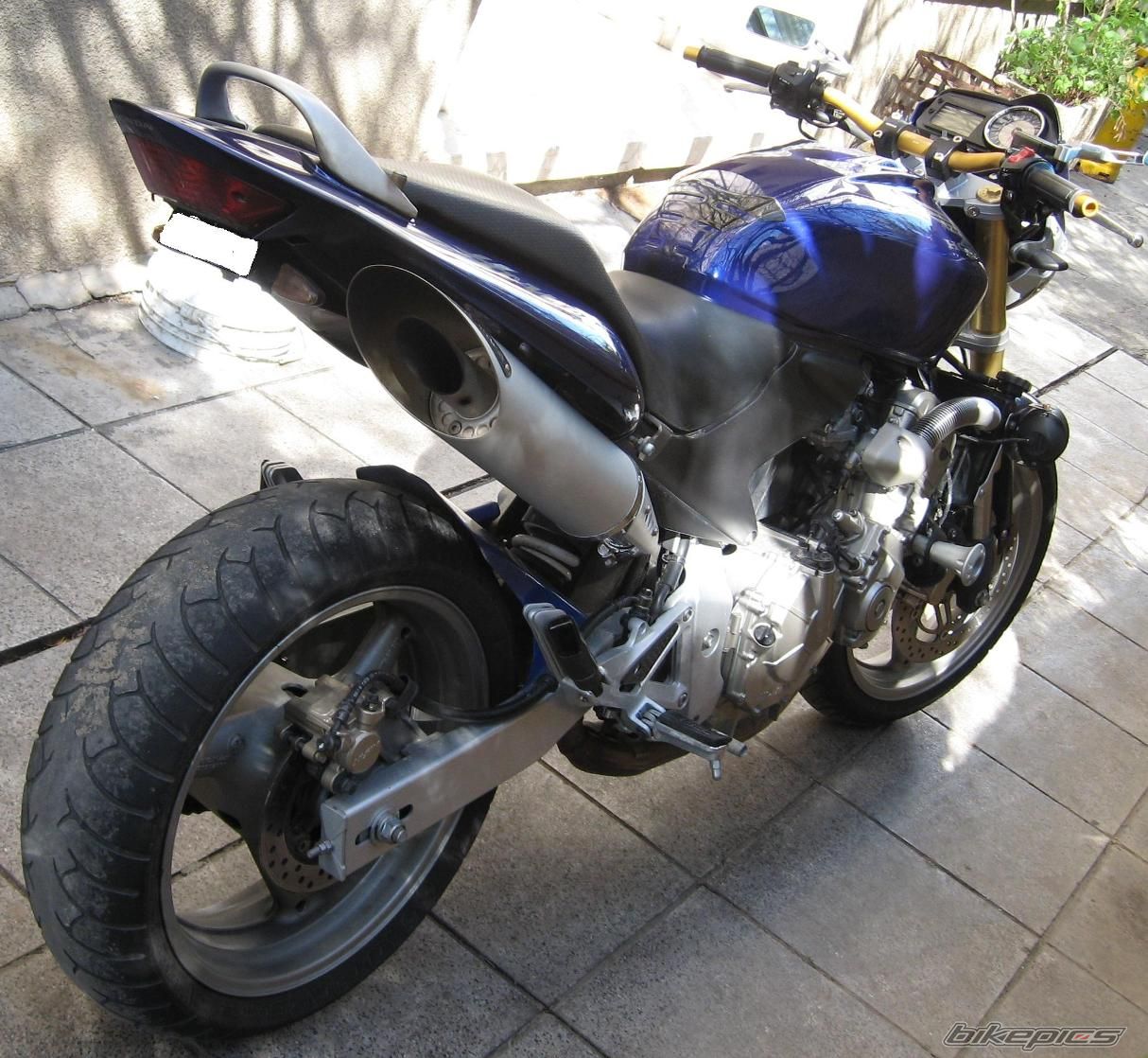 Photo 1575216