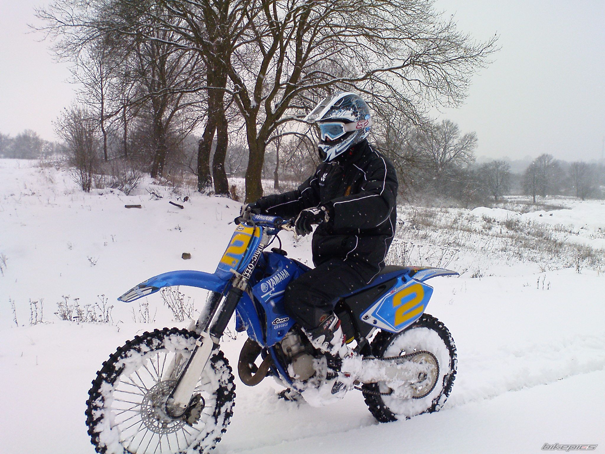 Photo 1575253