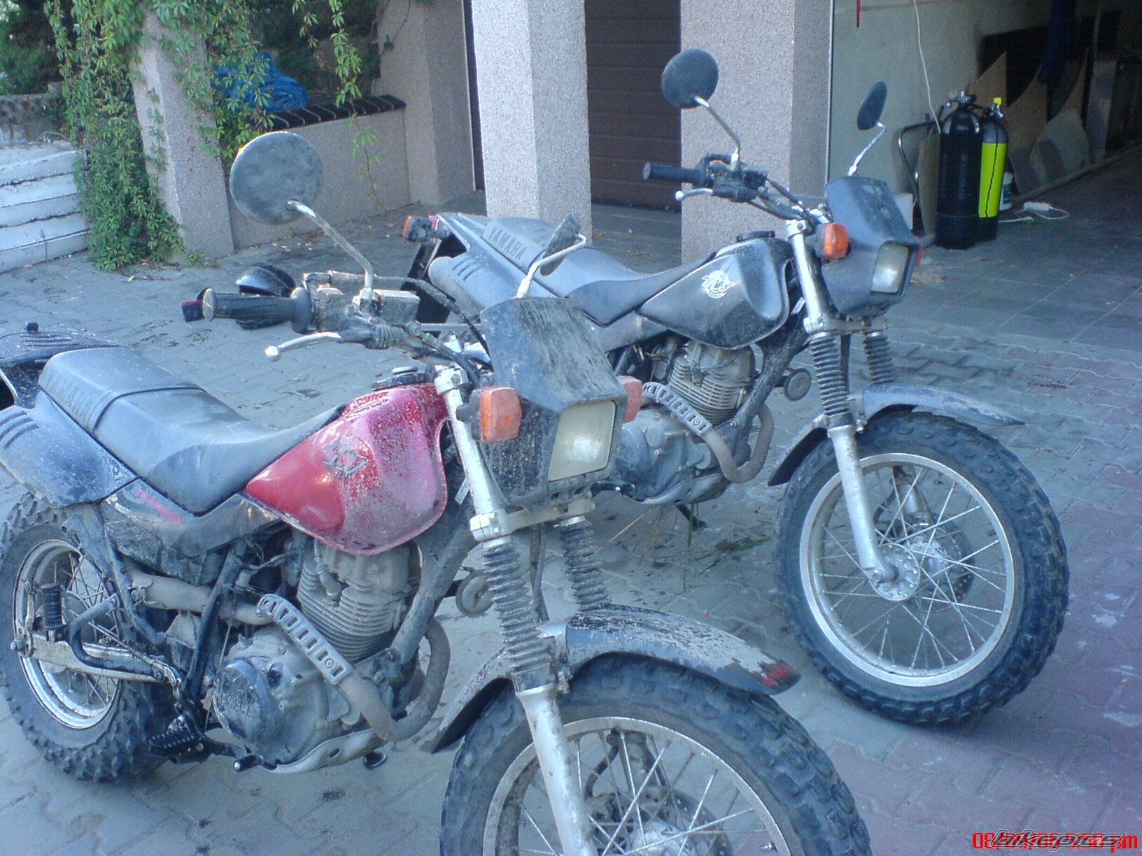 Photo 1575254