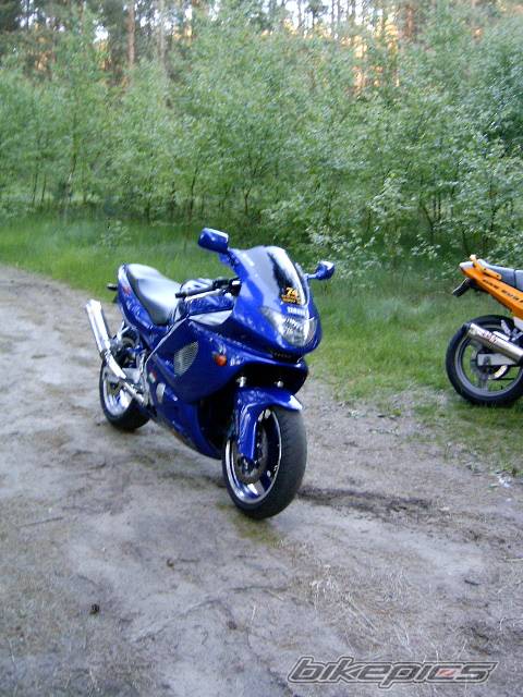 Photo 157530