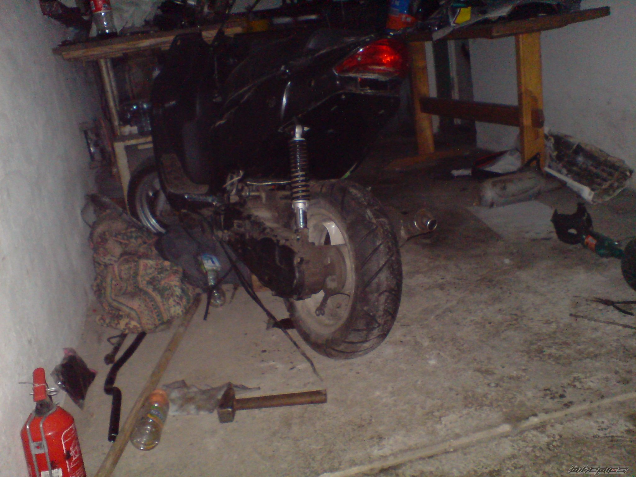 Photo 1575309