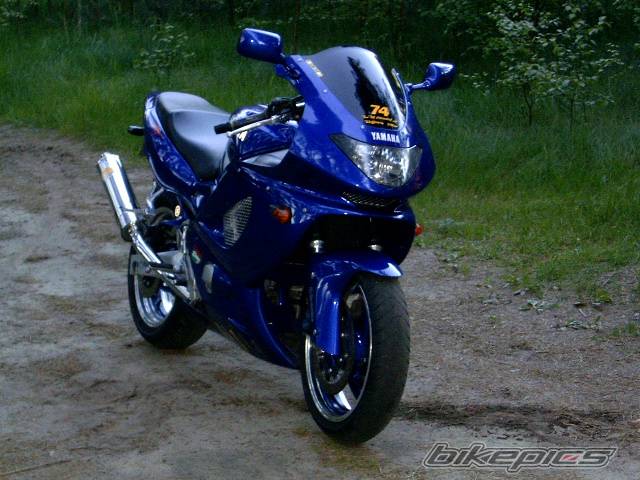Photo 157531
