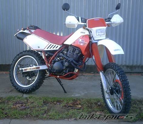 Photo 157536