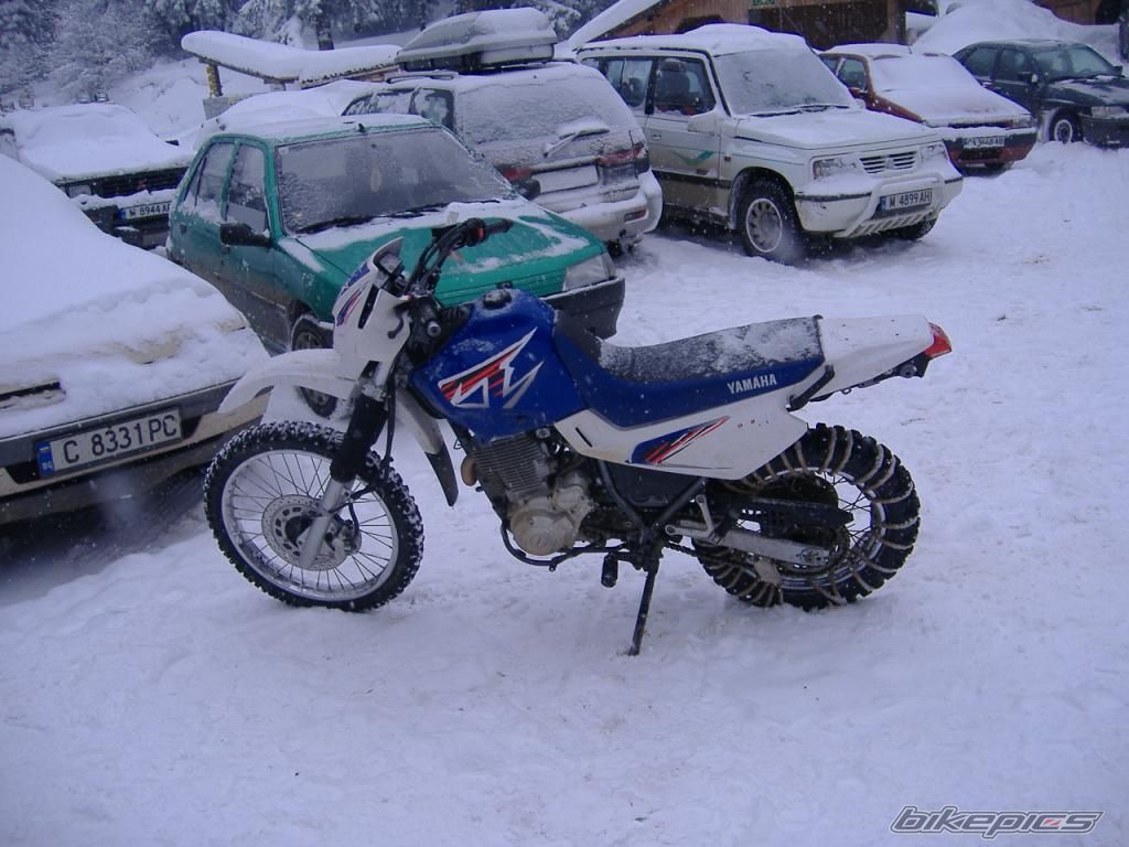Photo 1575405