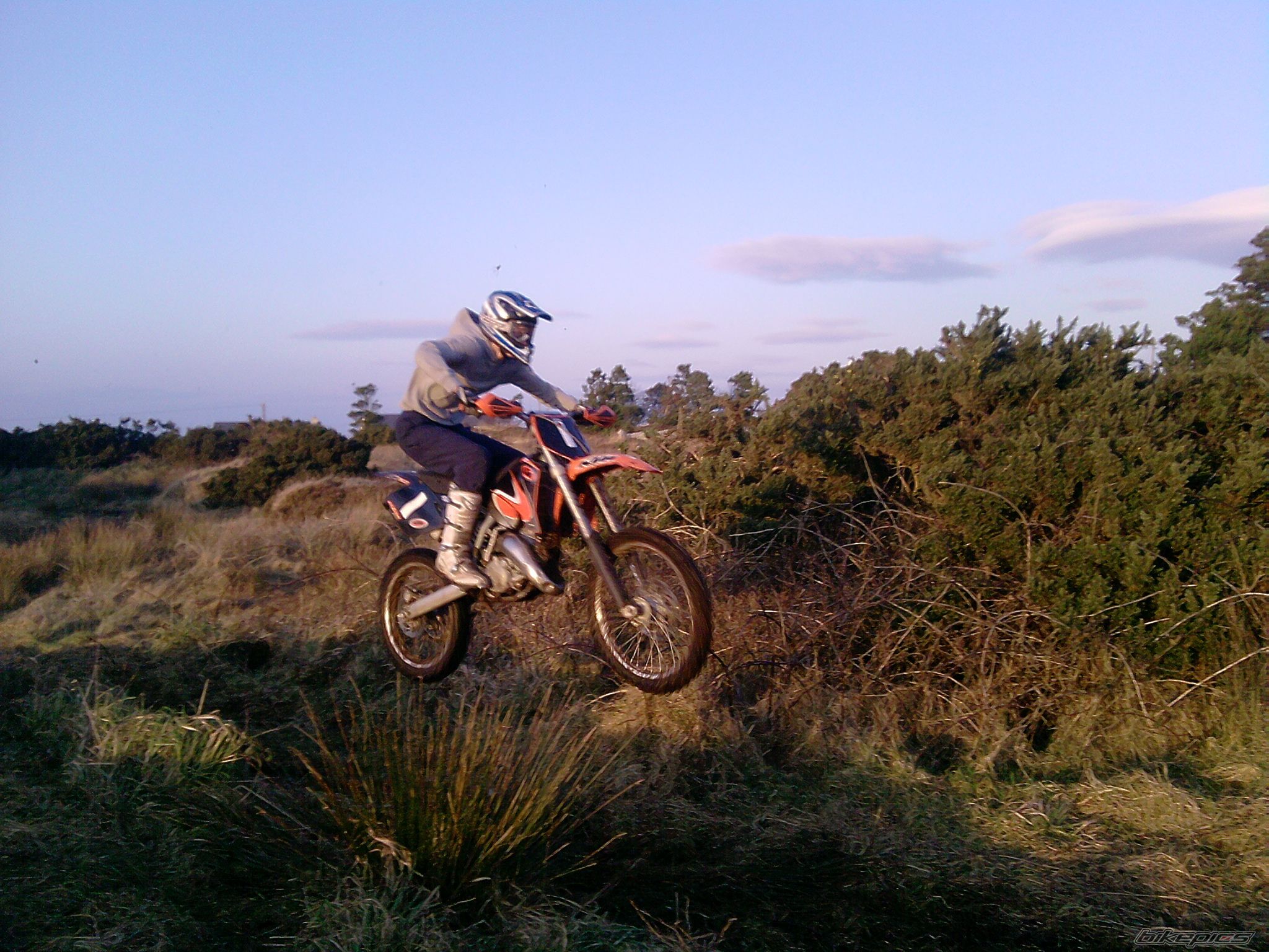 Photo 1575419