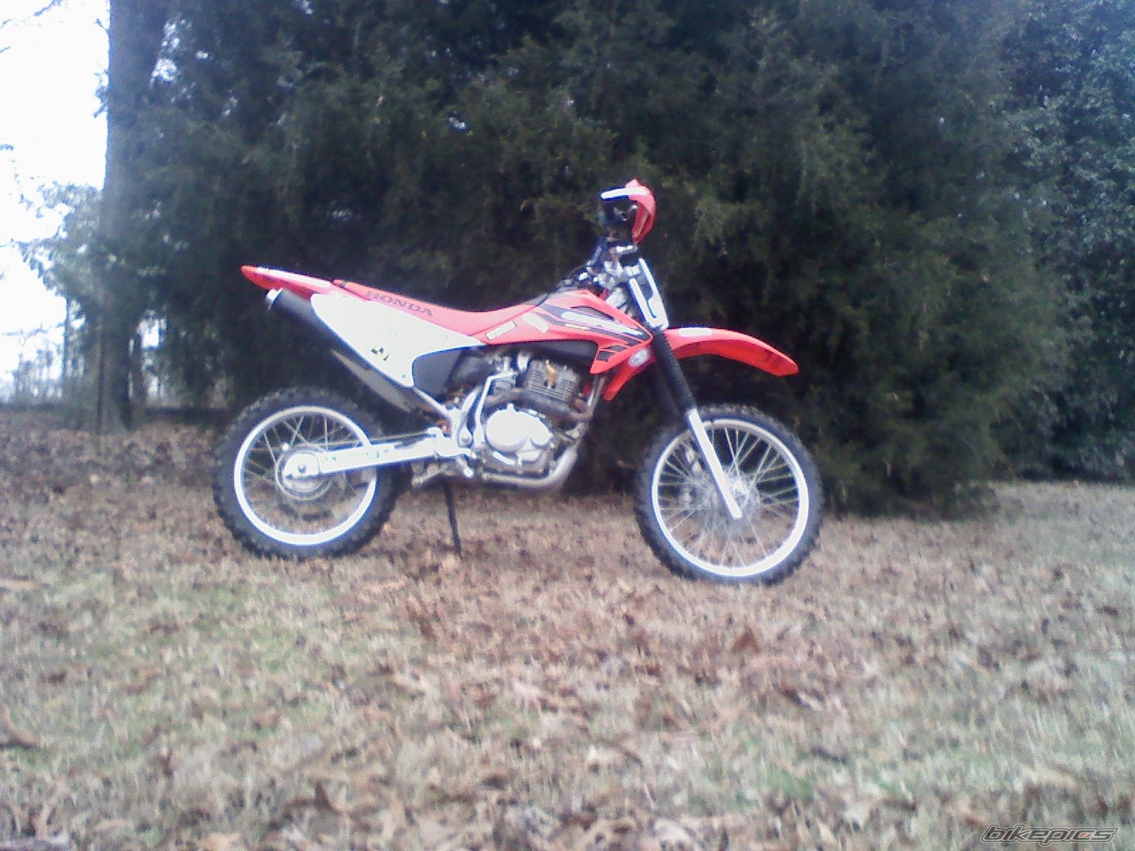 Photo 1575432