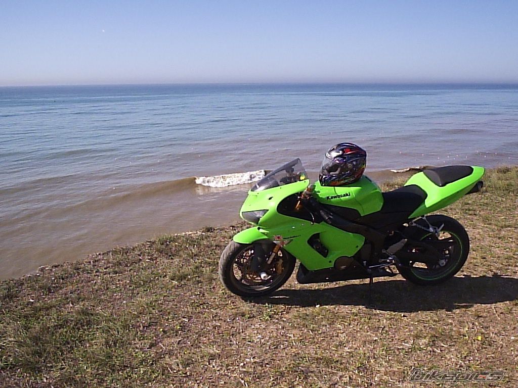 Photo 1575517