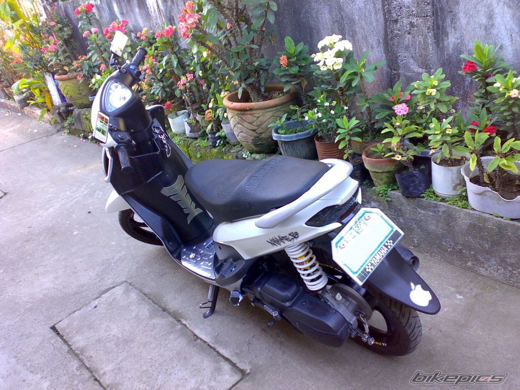 Photo 1575549