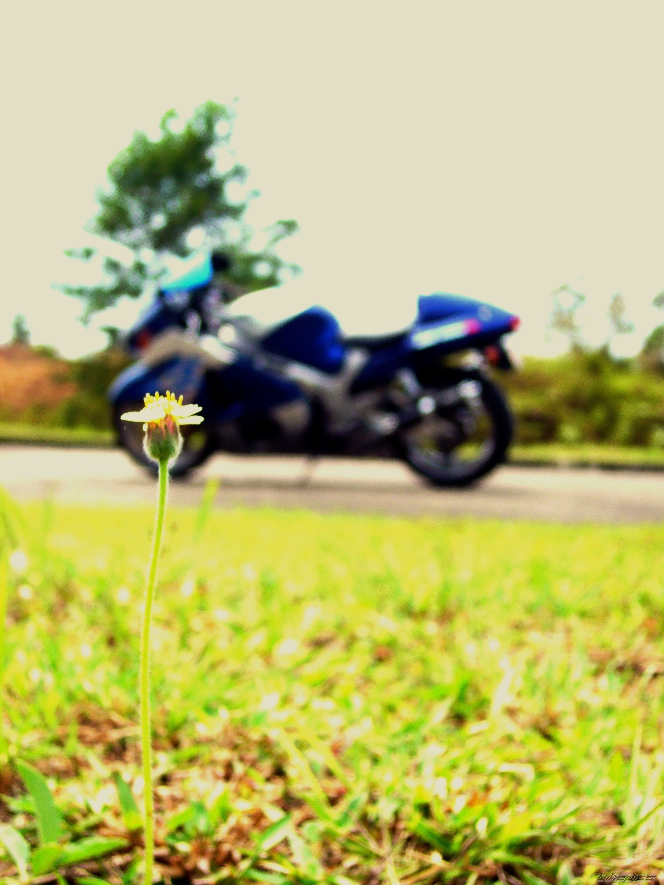 Bike Photo 1575643