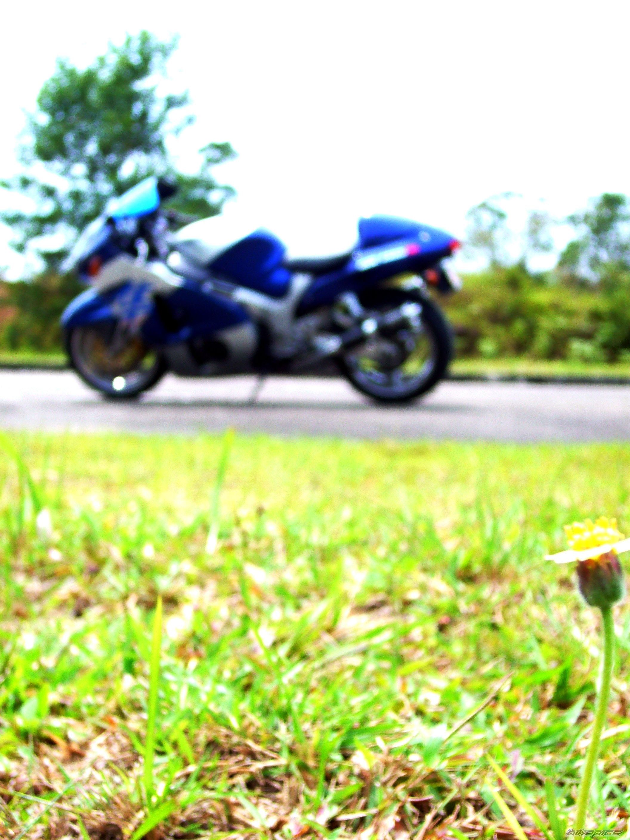 Photo 1575645