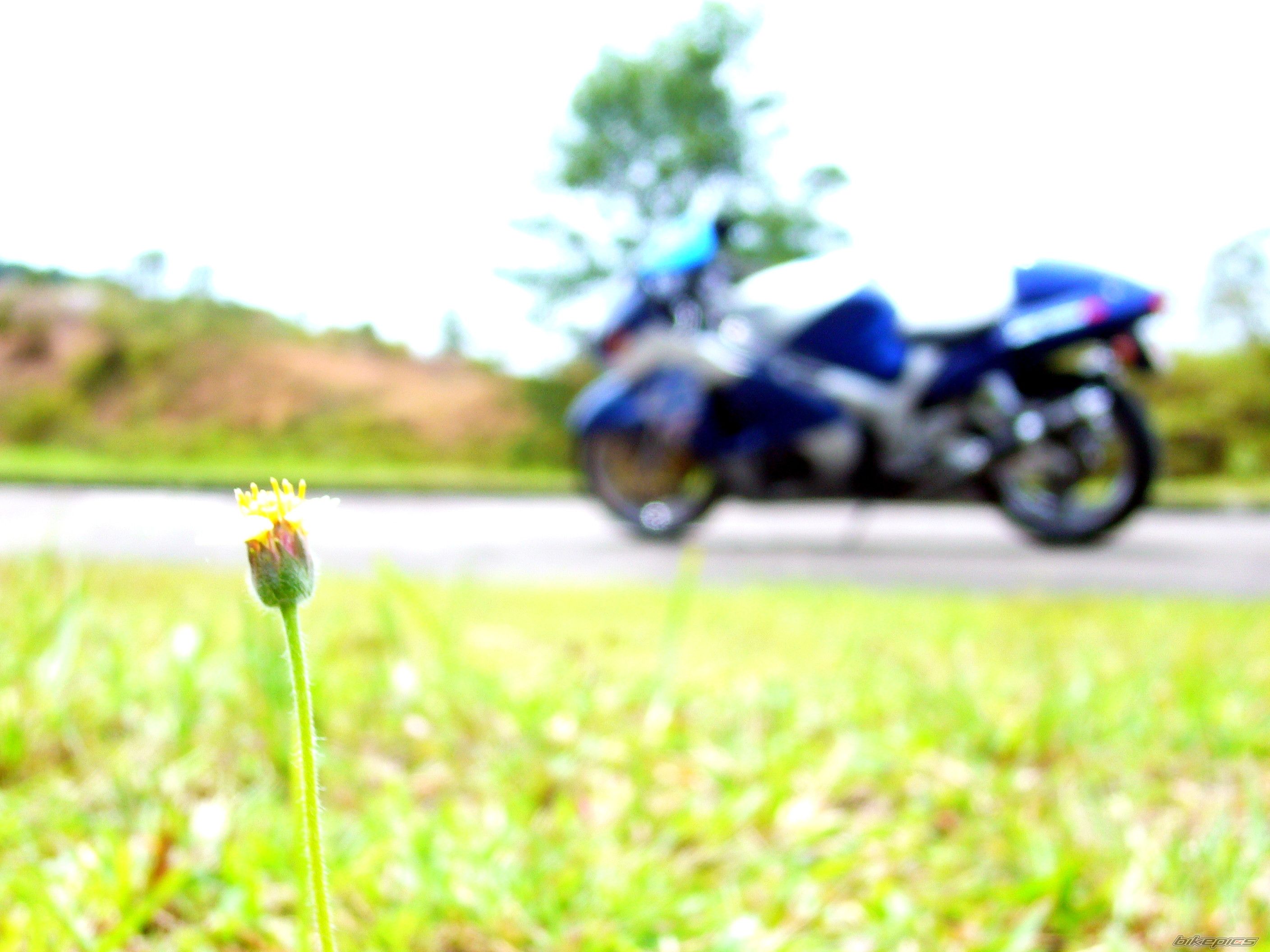 Bike Photo 1575646