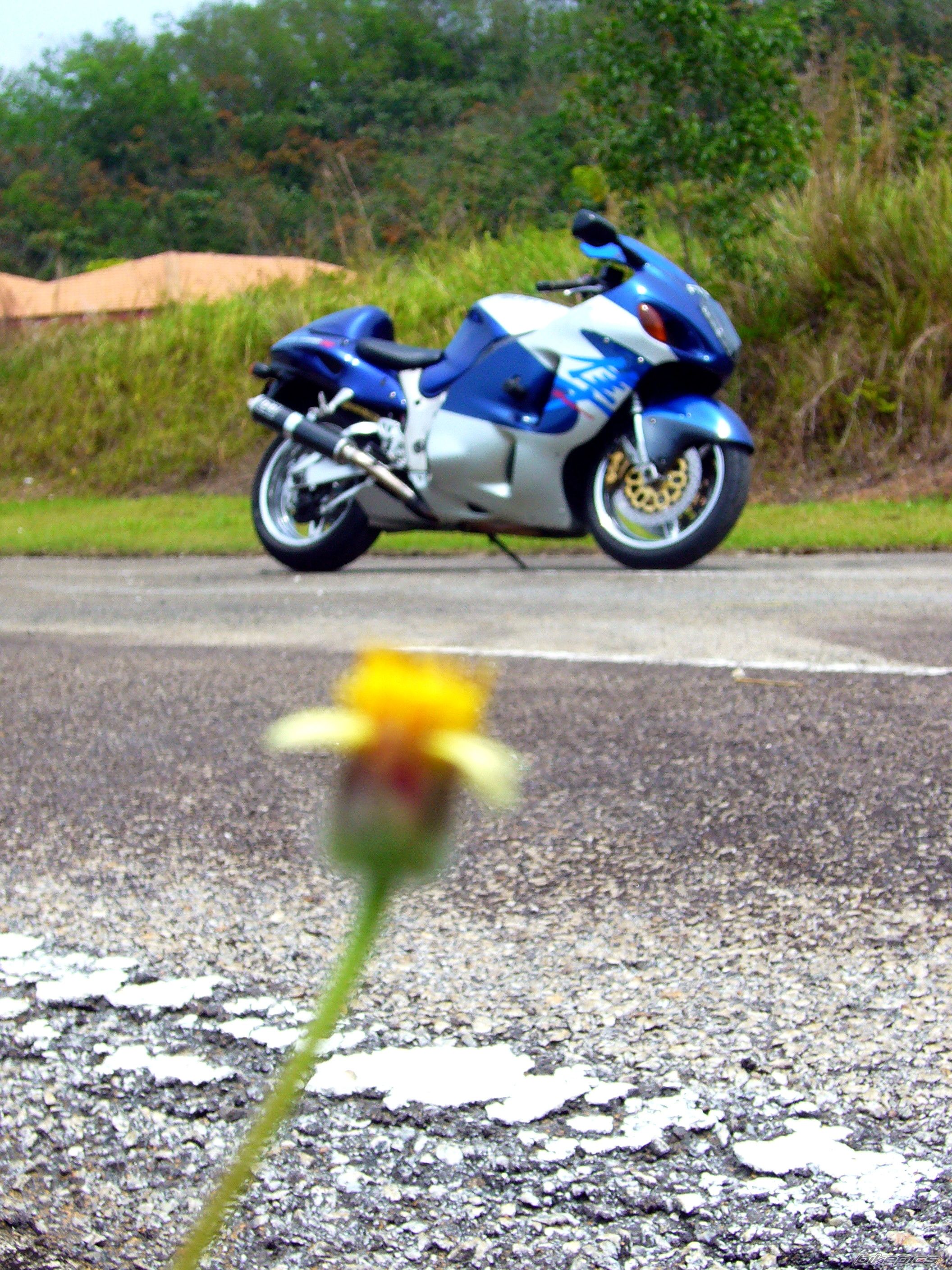 Bike Photo 1575650